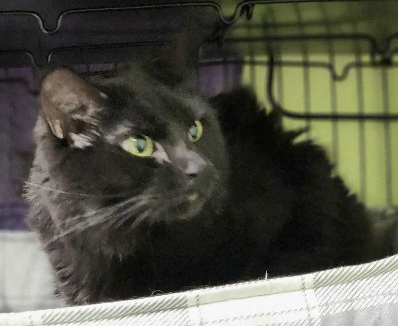 Miss Stormy thumbnail 2