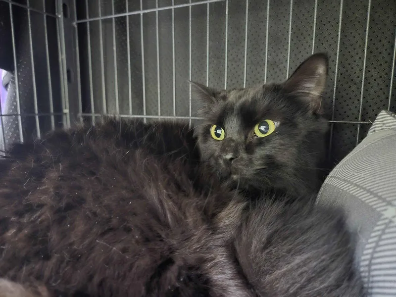 Miss Stormy thumbnail 3