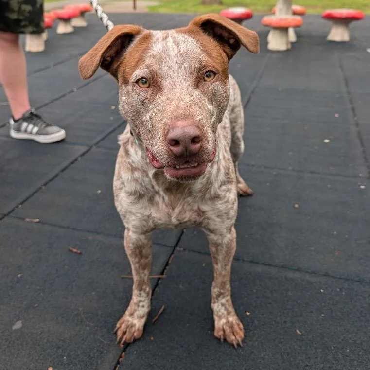 Kingston thumbnail 3