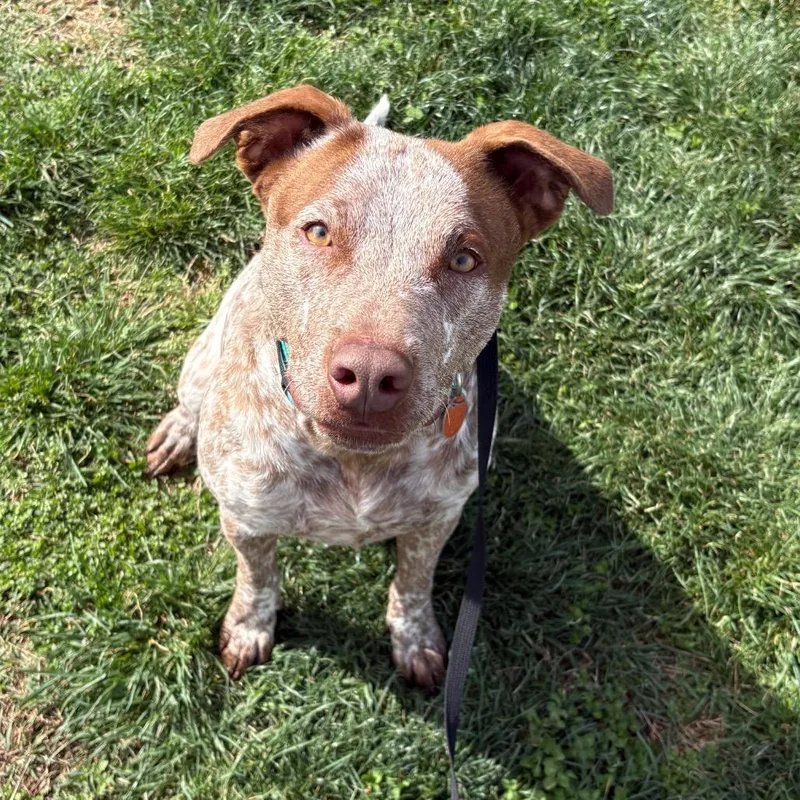 Kingston thumbnail 5