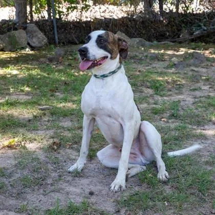 Woody thumbnail 2