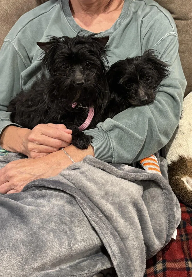 Lilly And Lucy Here thumbnail 2