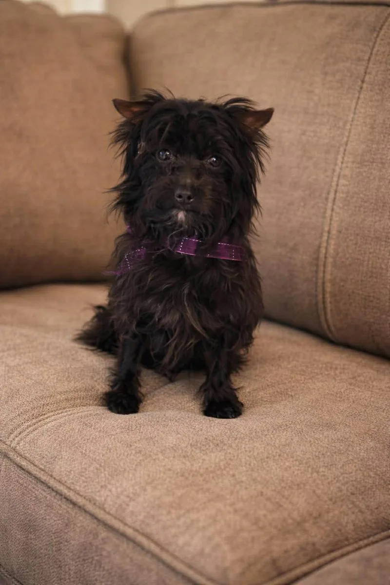 Lilly And Lucy Here thumbnail 3