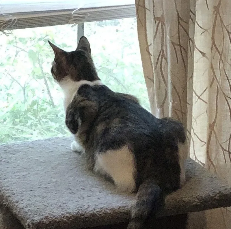 Mikey Heeatsanything thumbnail 2