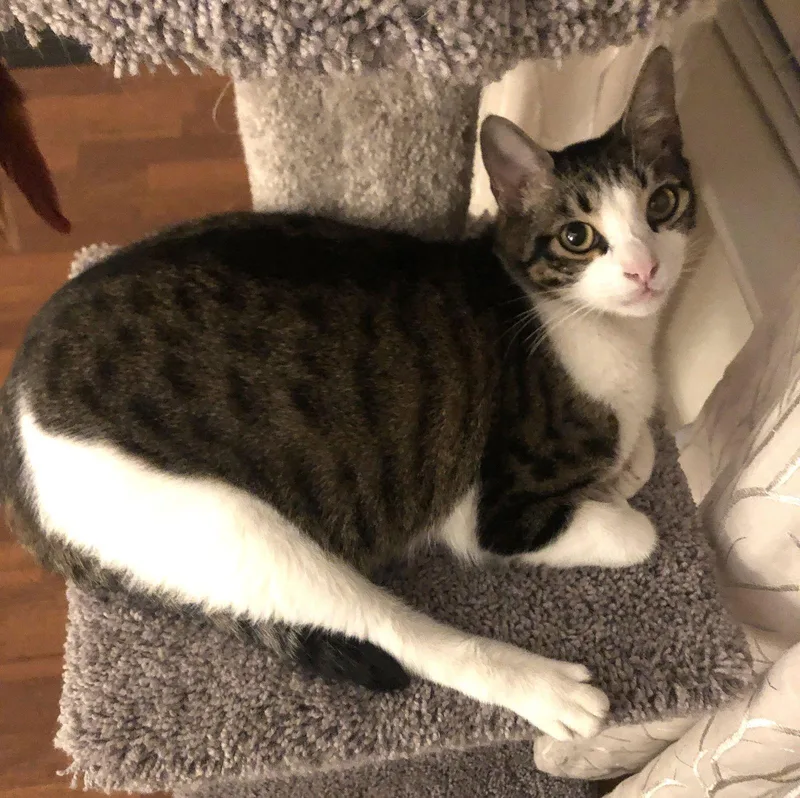 Mikey Heeatsanything thumbnail 3