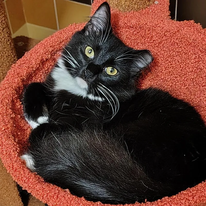 Judge Judy thumbnail 2