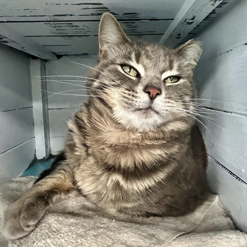 Claire And Reggie  thumbnail 2