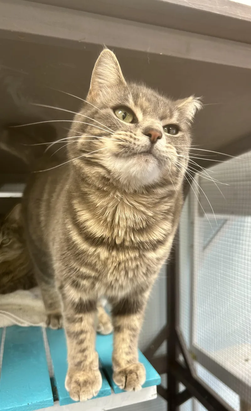 Claire And Reggie  thumbnail 3