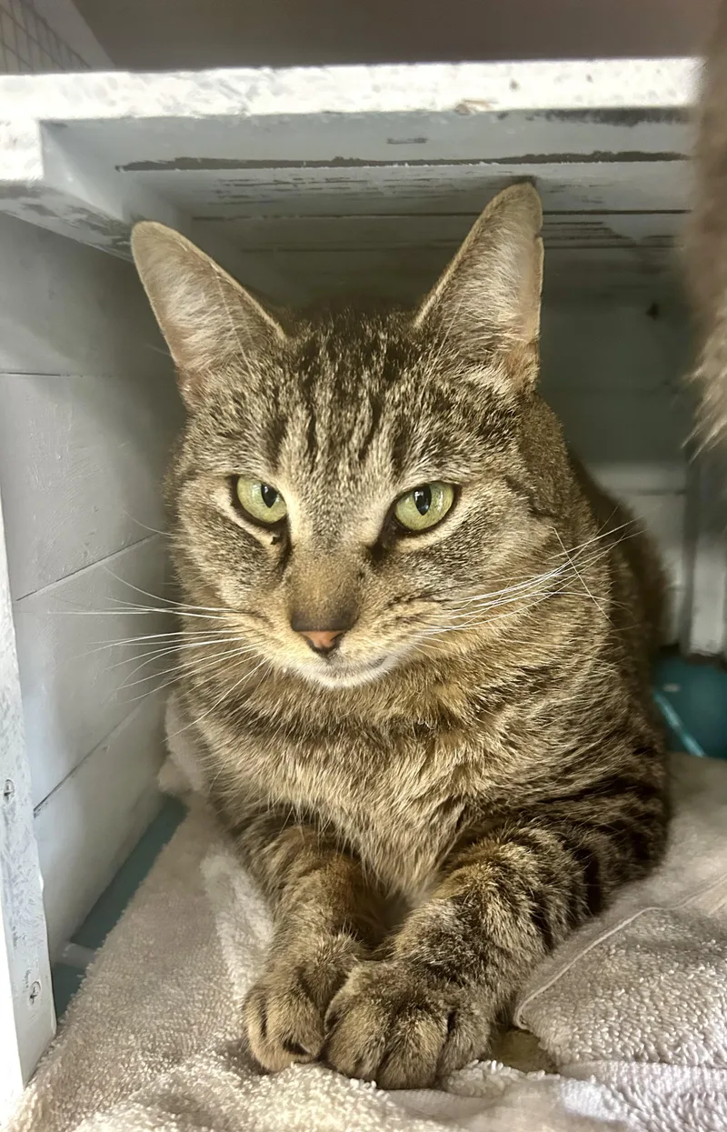 Claire And Reggie  thumbnail 4