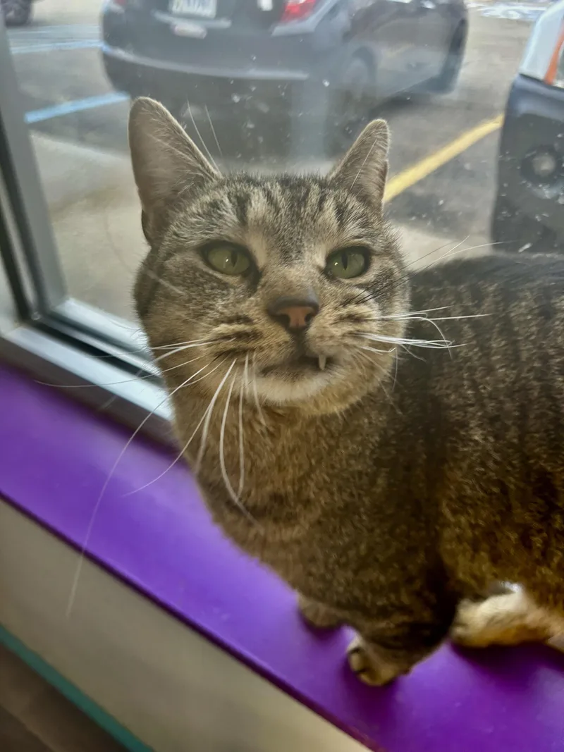 Claire And Reggie  thumbnail 6