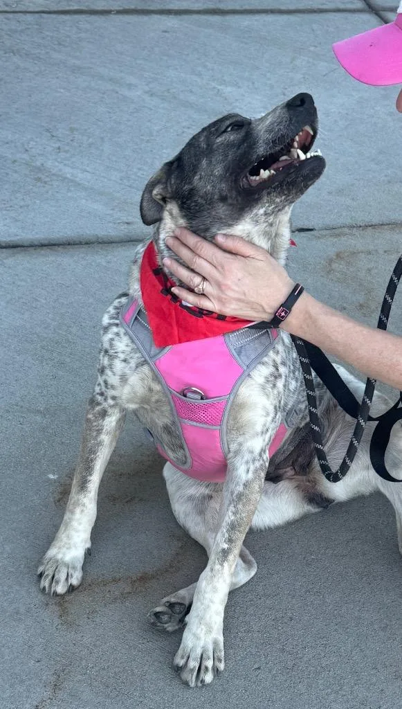 Piwnica Swidnicka thumbnail 2