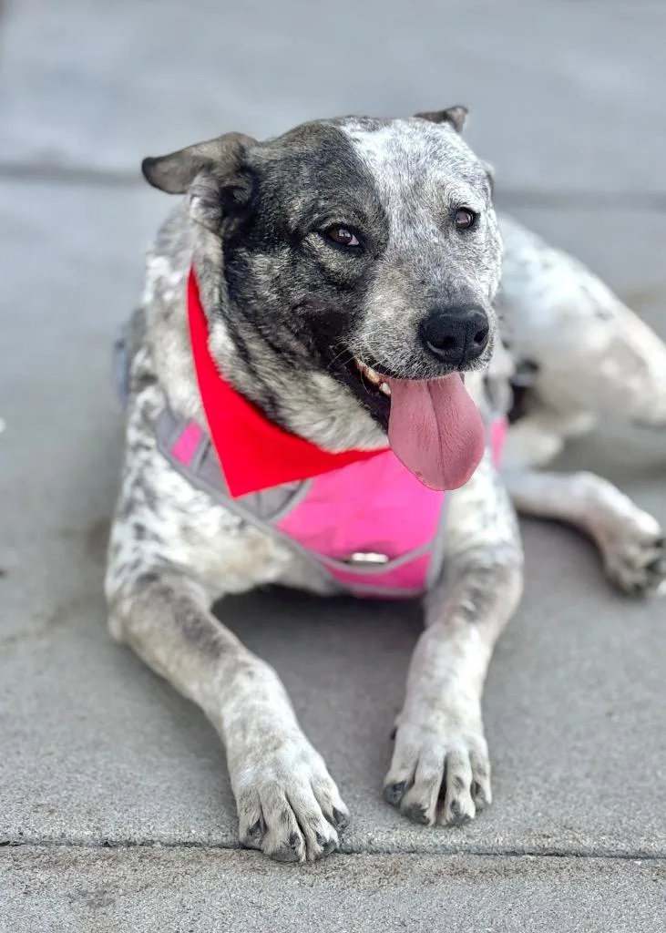 Piwnica Swidnicka thumbnail 3