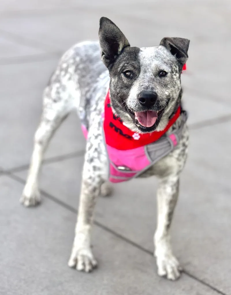 Piwnica Swidnicka thumbnail 5