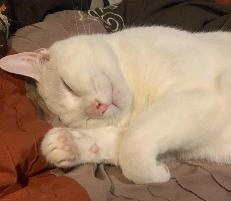 Casper thumbnail 2