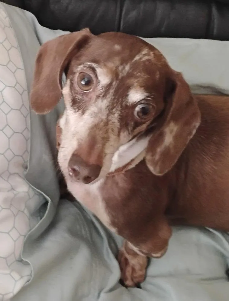 Olivia thumbnail 3