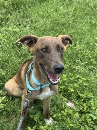 Fruit Loops thumbnail 3