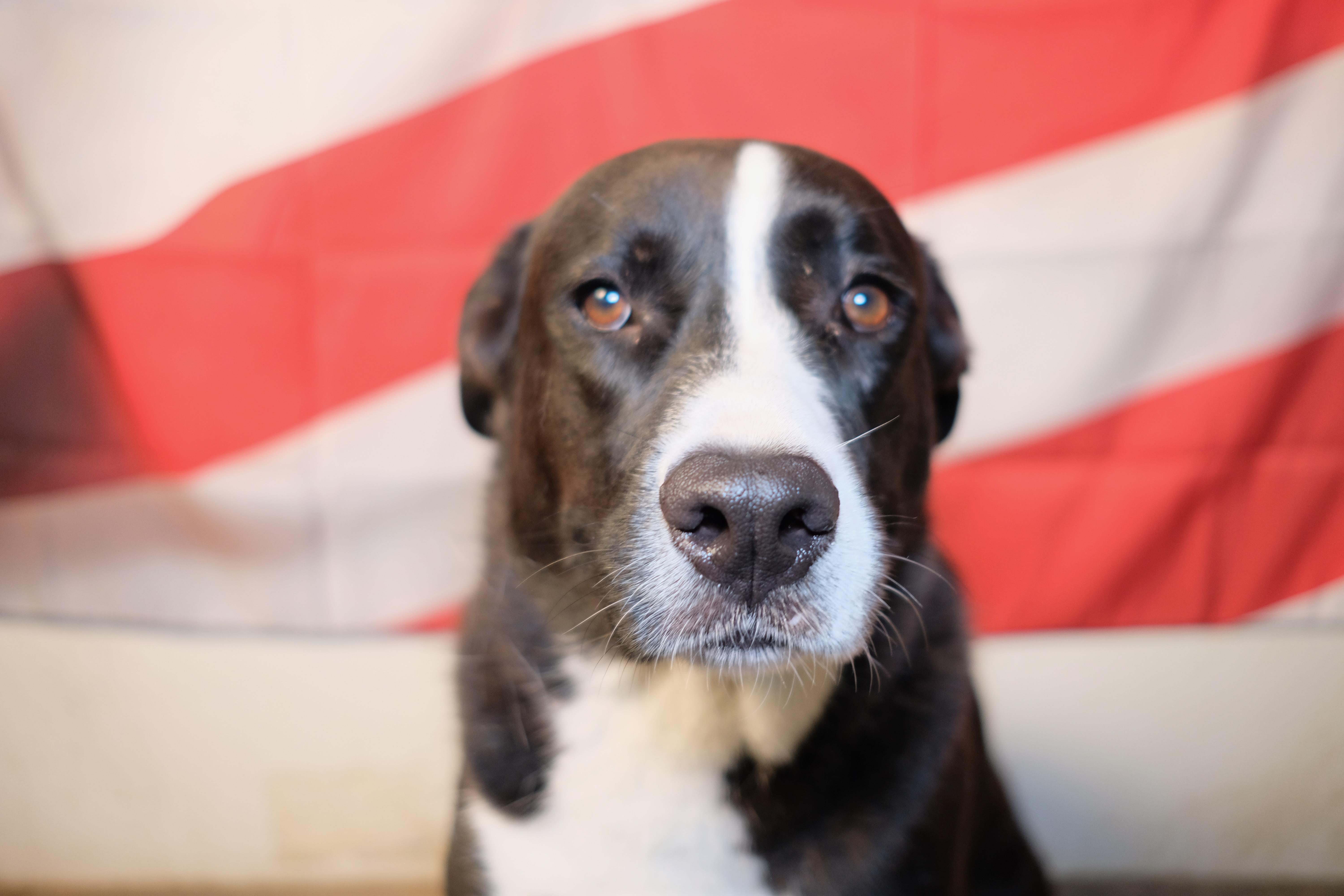 Frederick thumbnail 3