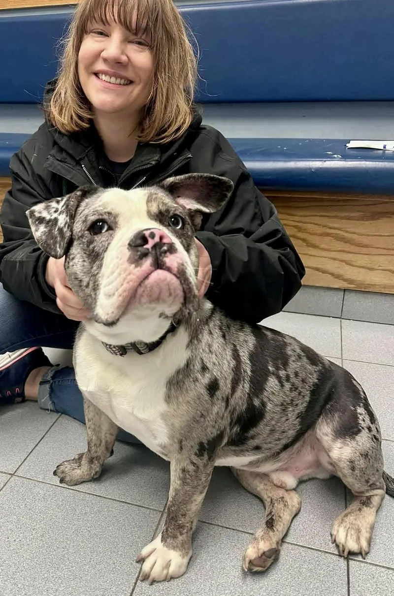 Ghost Clooney thumbnail 3