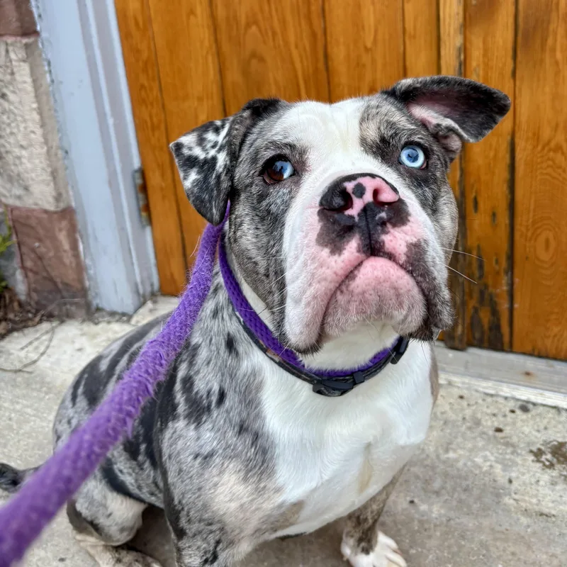 Ghost Clooney thumbnail 5