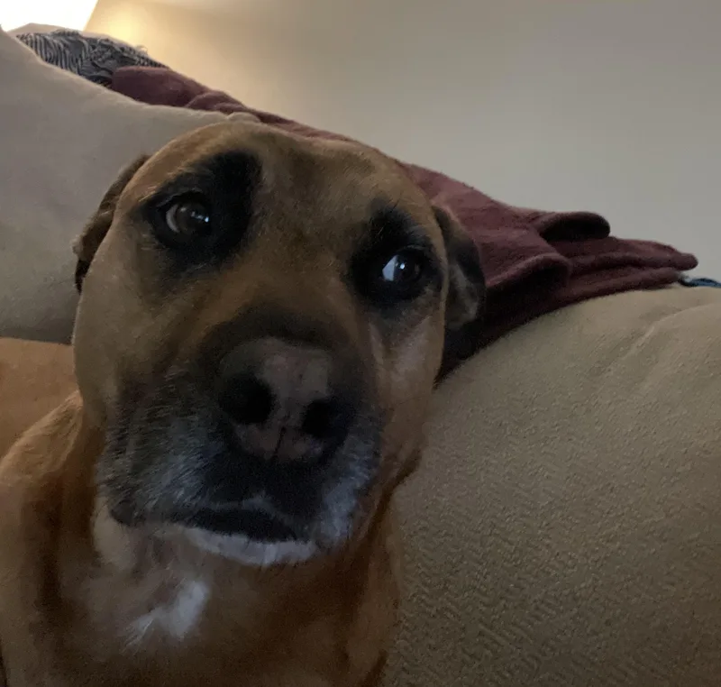 Sadie Courtesy Listed thumbnail 3