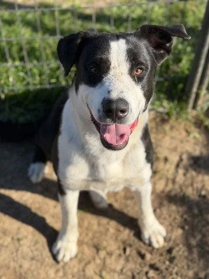 Zoboomafoo thumbnail 2