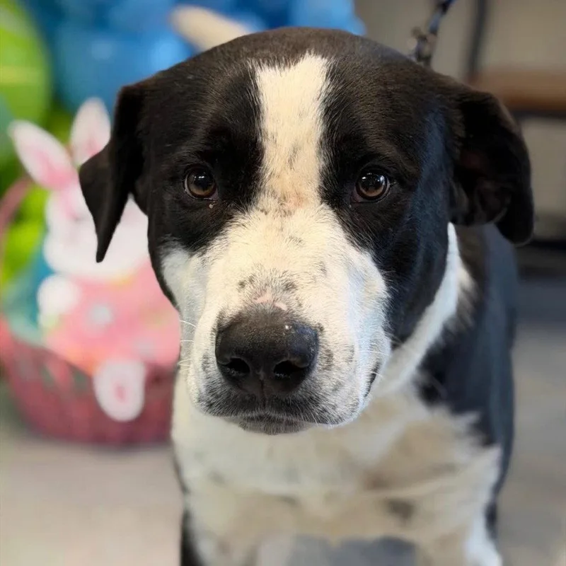 Zoboomafoo thumbnail 3