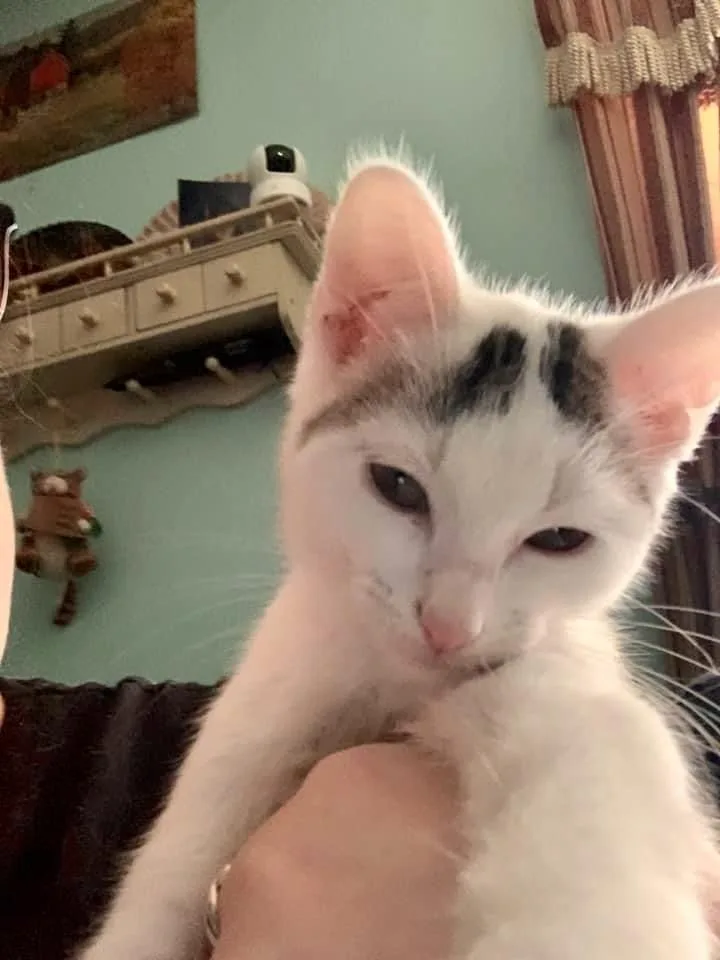 Charon Sb thumbnail 2