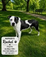 Rachel thumbnail 2