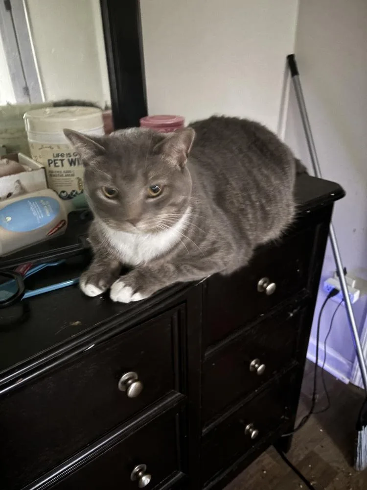 Big Boy Smokey thumbnail 2