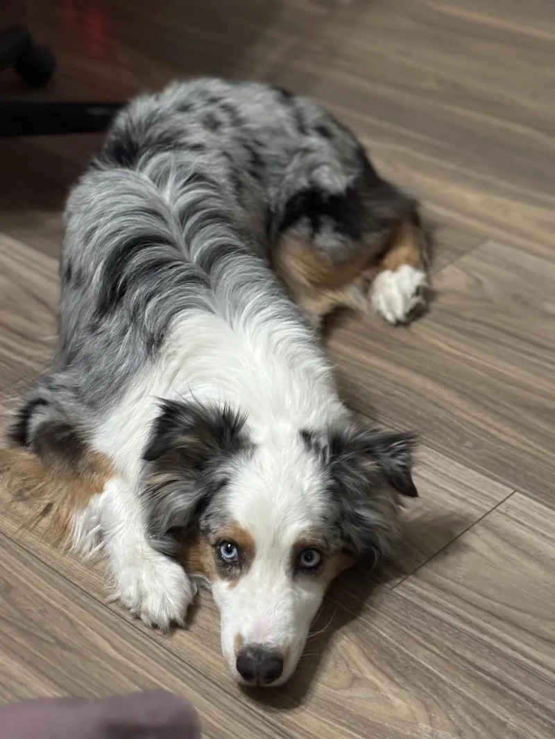 Skye