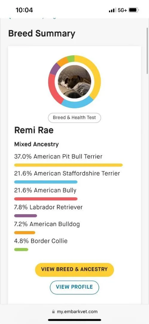 Remi Rae thumbnail 2