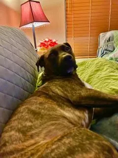 Remi Rae thumbnail 3