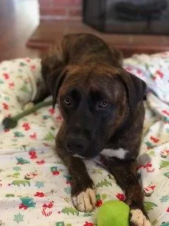 Remi Rae thumbnail 4