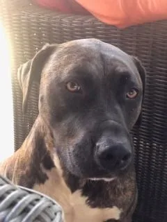 Remi Rae thumbnail 5