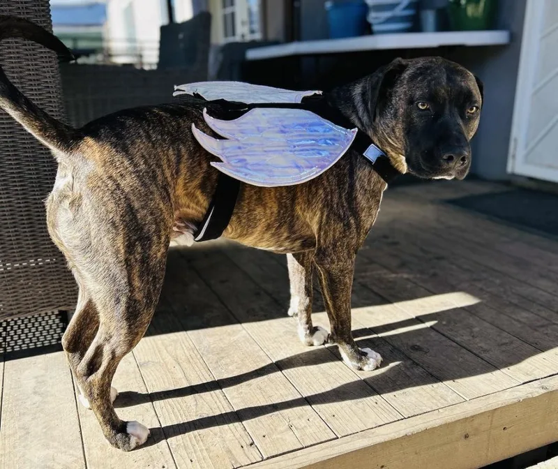 Remi Rae thumbnail 6