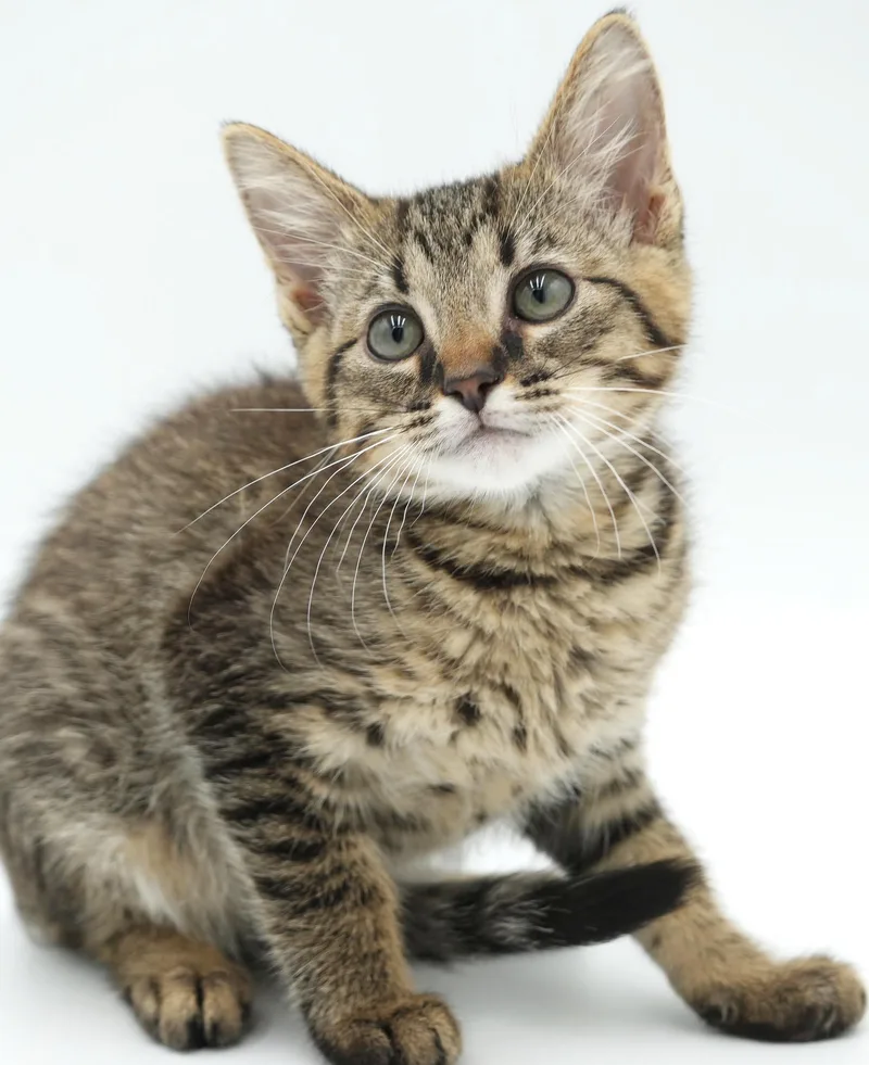 Sammy is a baby thumbnail 2