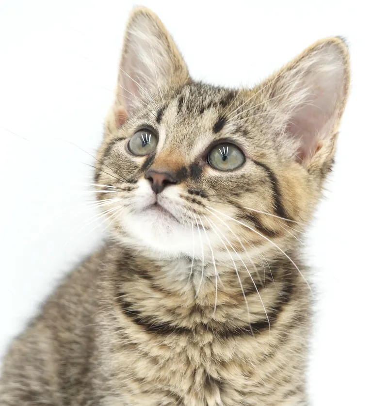 Sammy is a baby thumbnail 3