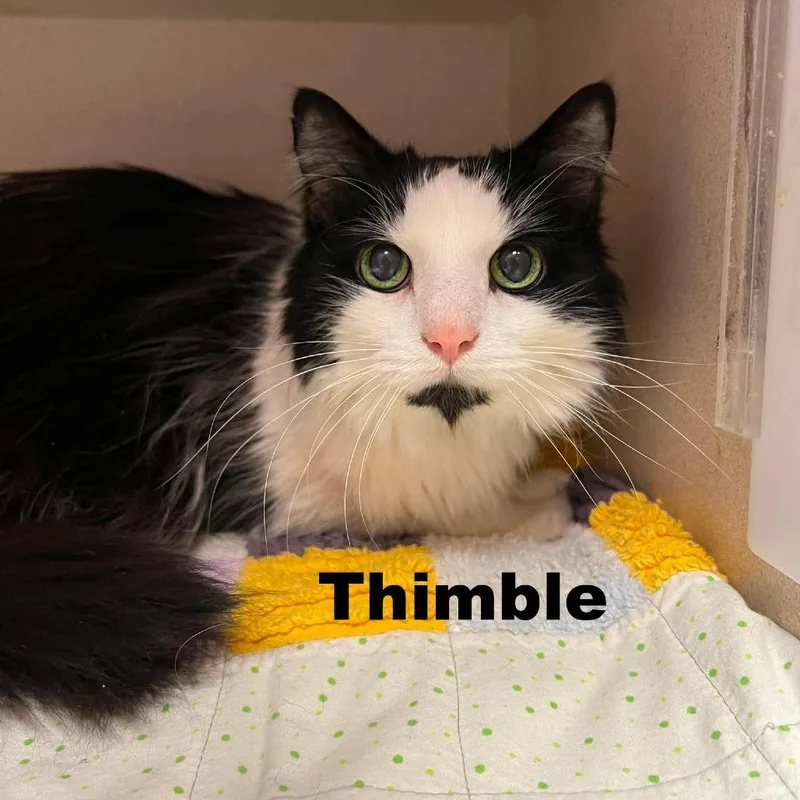Thimble