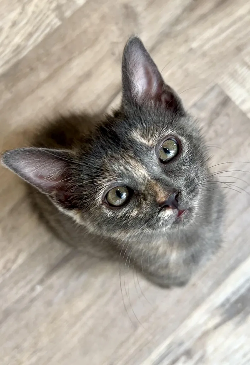 Stormi thumbnail 5