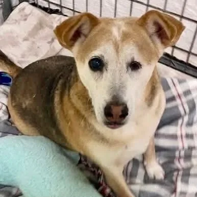 Nala Bonded With Morgan thumbnail 2