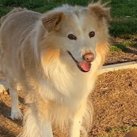 Nala Bonded With Morgan thumbnail 3