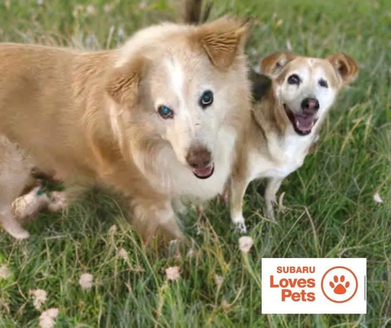 Nala Bonded With Morgan thumbnail 5