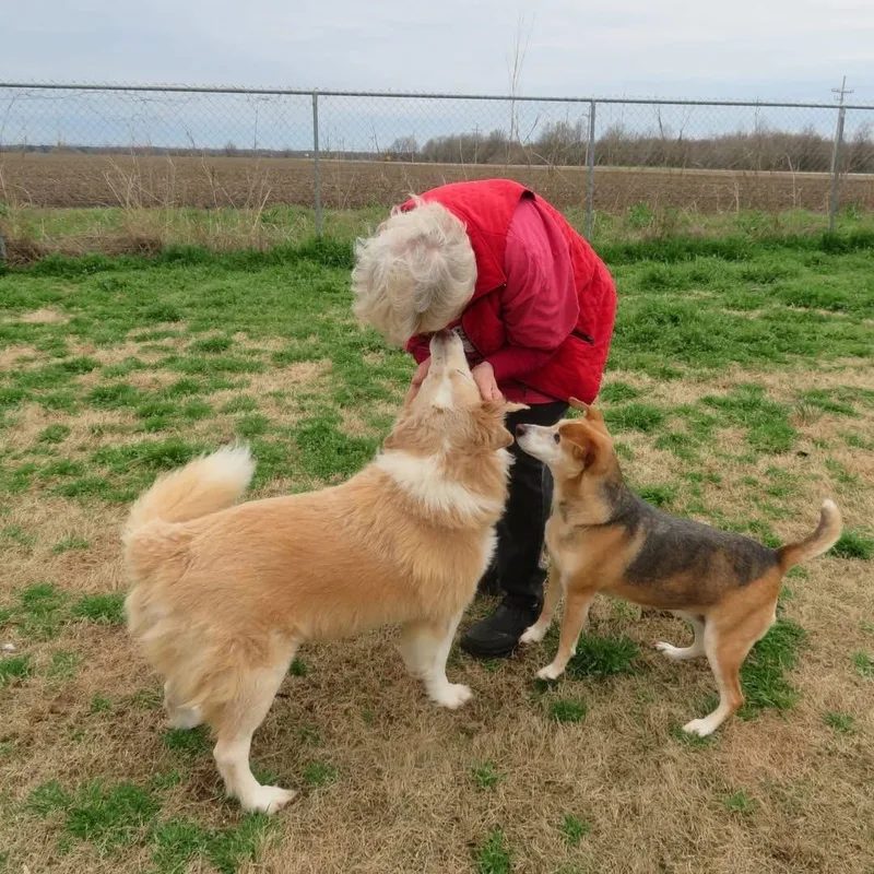 Nala Bonded With Morgan thumbnail 6