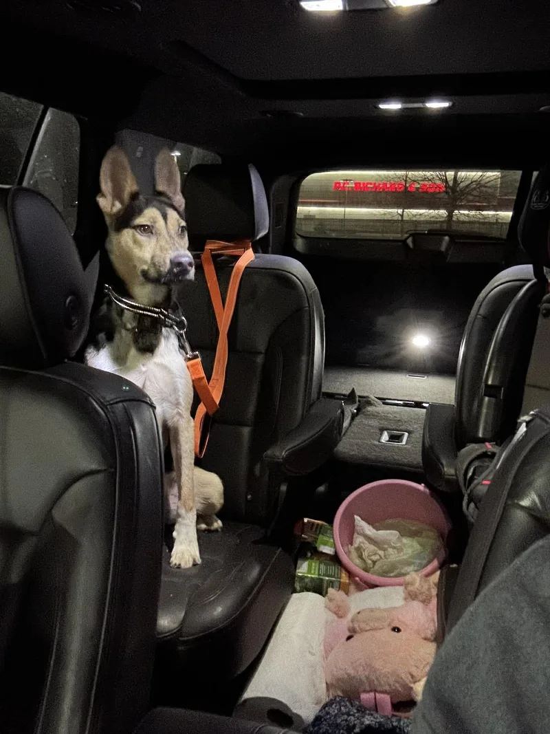 Popsicle thumbnail 3