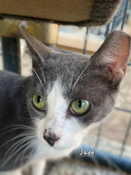 Jade