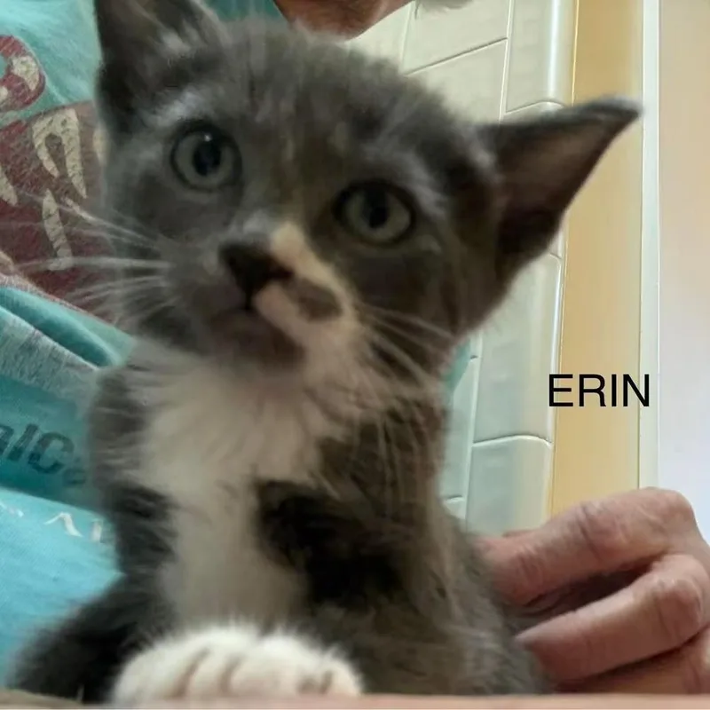 Erin thumbnail 3