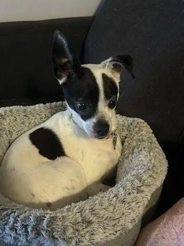 Princess thumbnail 4