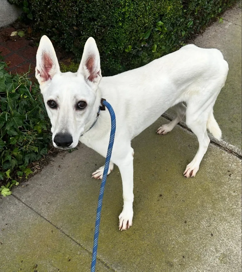 Gracie Mae thumbnail 2