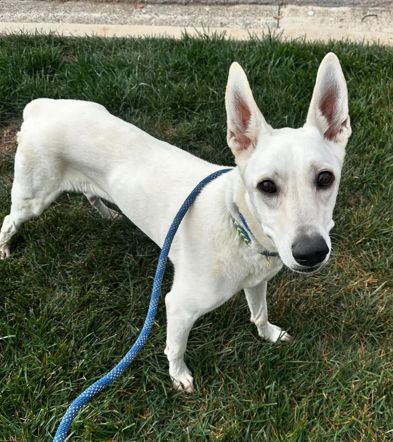 Gracie Mae thumbnail 3