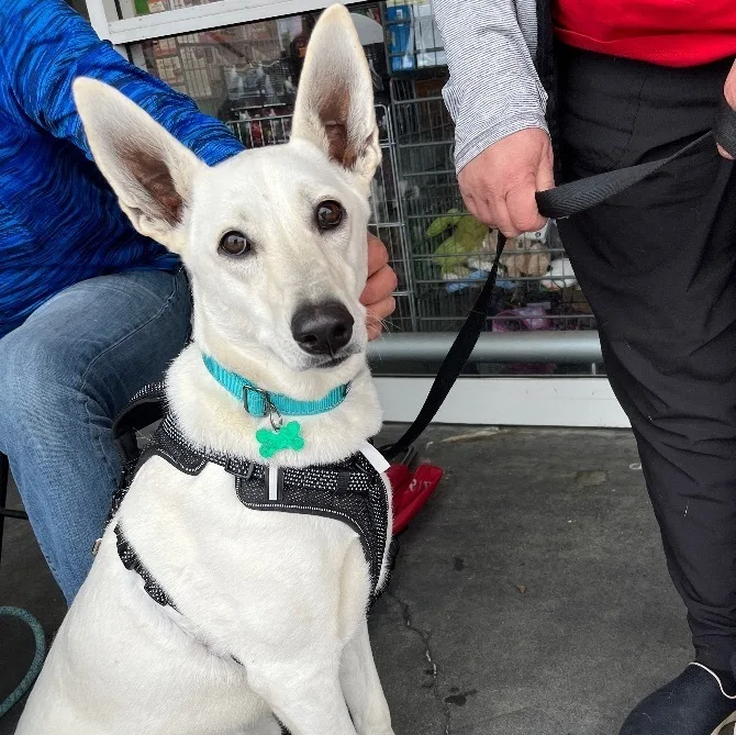 Gracie Mae thumbnail 4